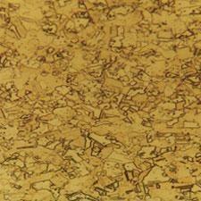 specimen preparation for Commercial Pure Copper