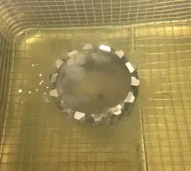 removing oil with ultrasonic cleaning