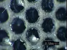 before deburring of hole