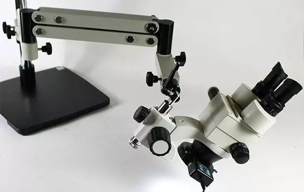 best stereo microscopes