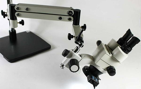 best stereo microscopes